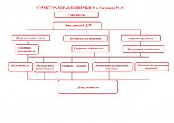 Структура и органы управления муниципального бюджетного дошкольного образовательного учреждения г. Астрахани «Детский сад № 29»